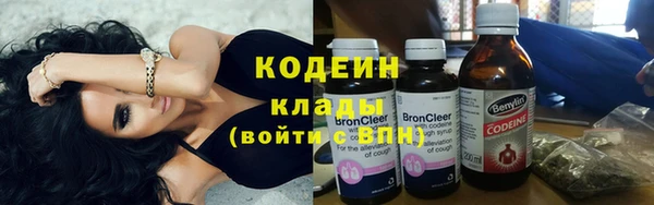 прущие грибы Абдулино