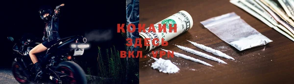 прущие грибы Абдулино