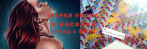 apvp Алзамай