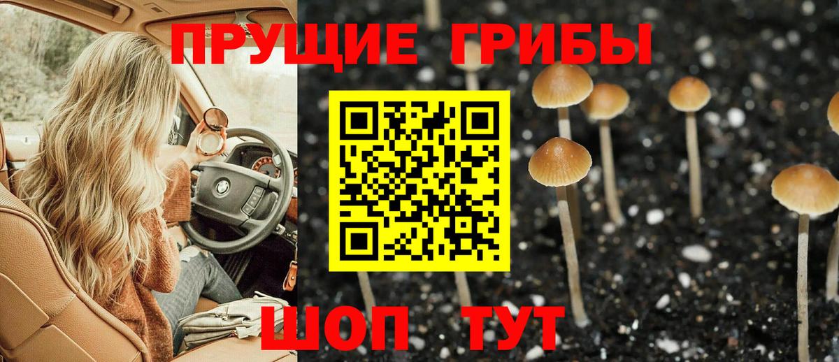 купить закладку  Галлюциногенные грибы мицелий  Киржач  Вход с VPN  Псилоцибиновые грибы GOLDEN TEACHER 