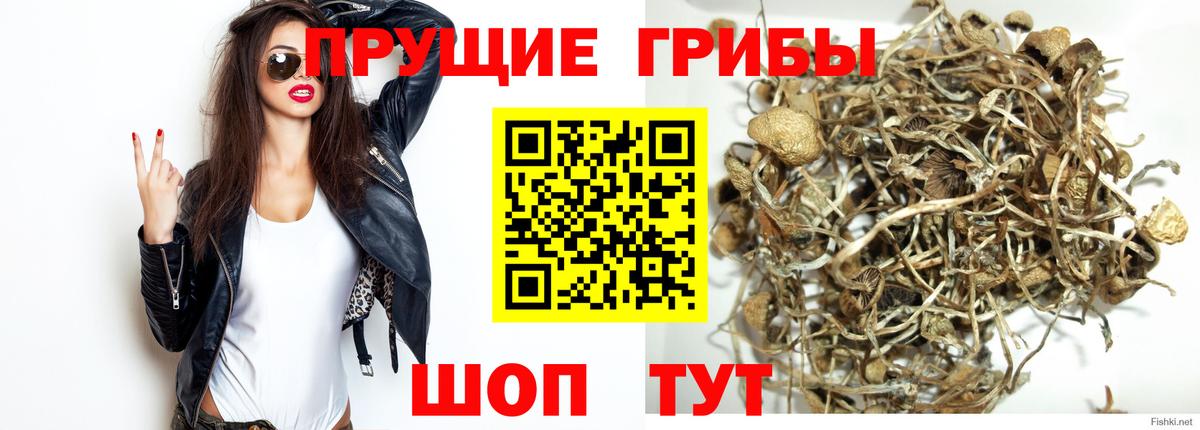 Галлюциногенные грибы мухоморы Киржач